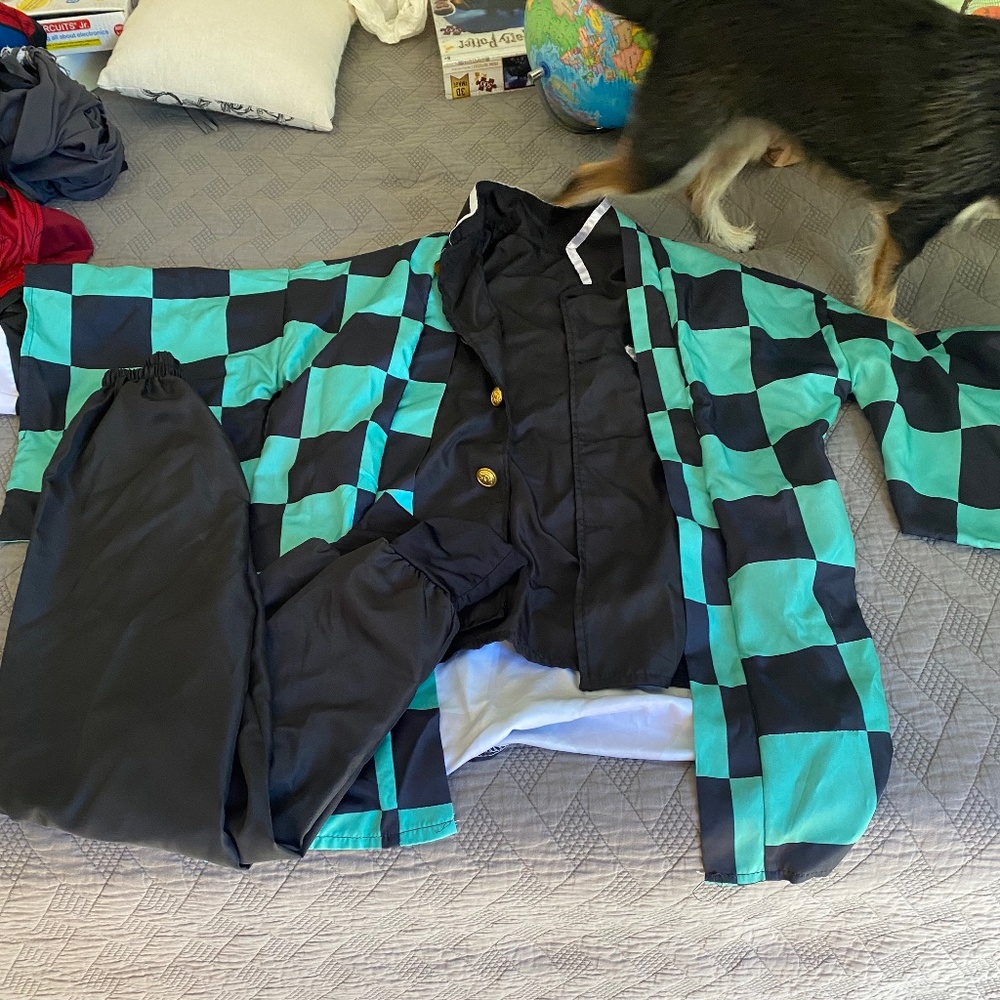 Demon Slayer Halloween Cosplay Dress Up Tanjiro Anime
